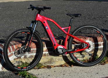 Franzon Charlotte