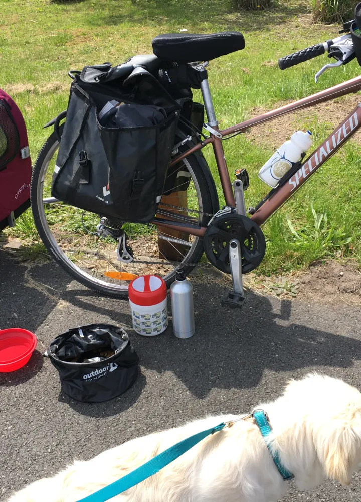 Pause pour Roxy