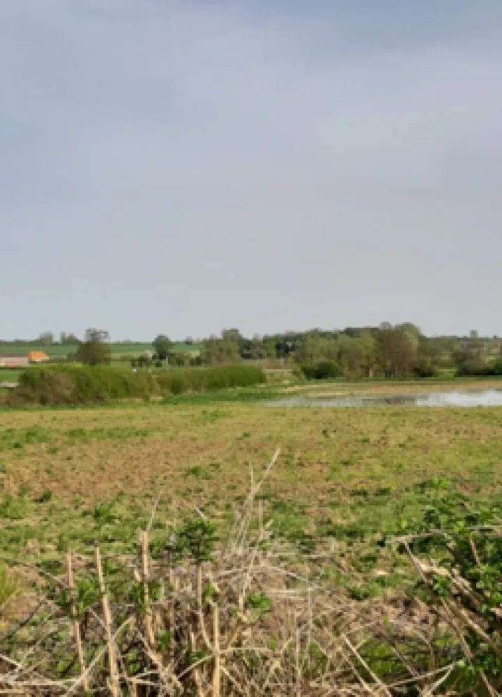 Témoignage - Pays de Bray