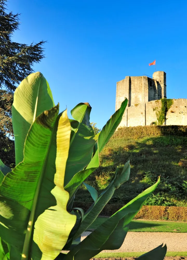 Le château de Gisors