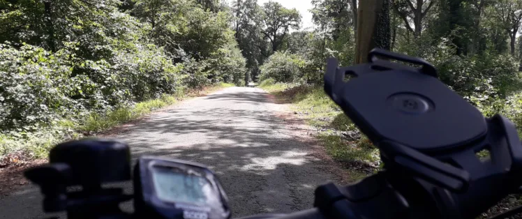 Témoignage Hélène - La forêt du Halatte