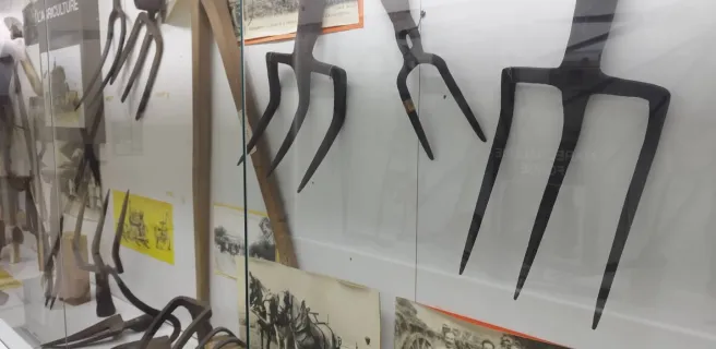 Musée des Arts et Traditions populaires