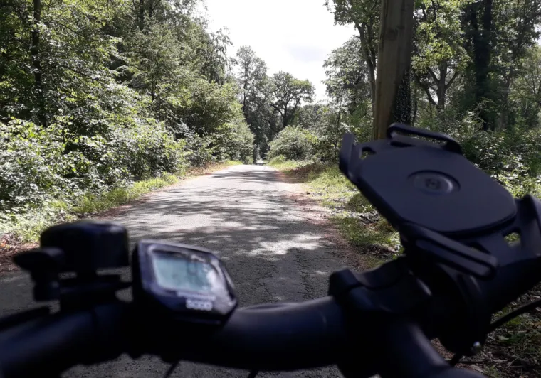 Témoignage Hélène La forêt du Halatte